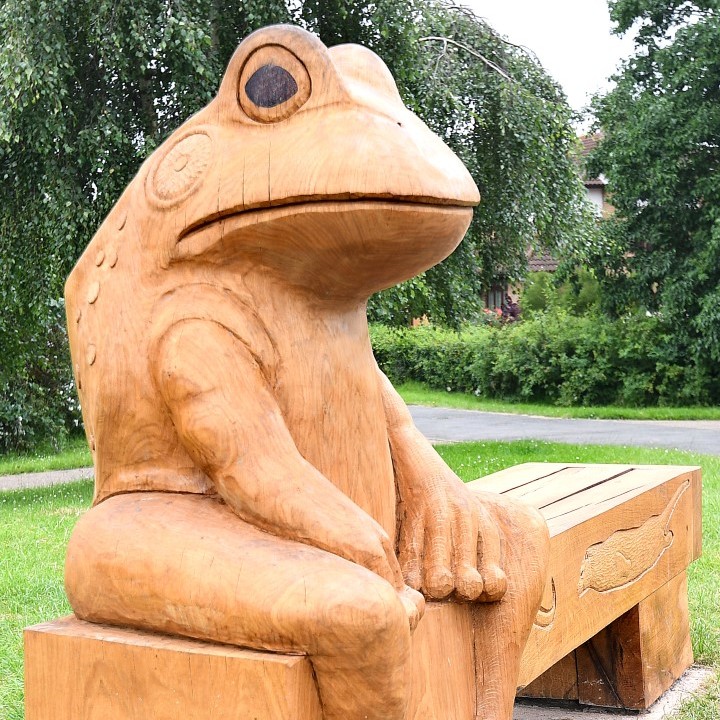 Frog bench