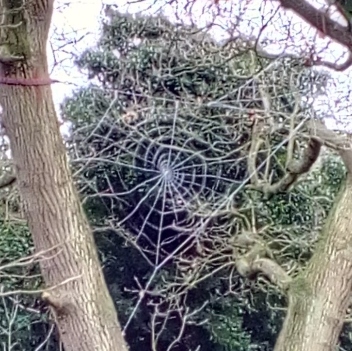 Metal spider webb sculpture